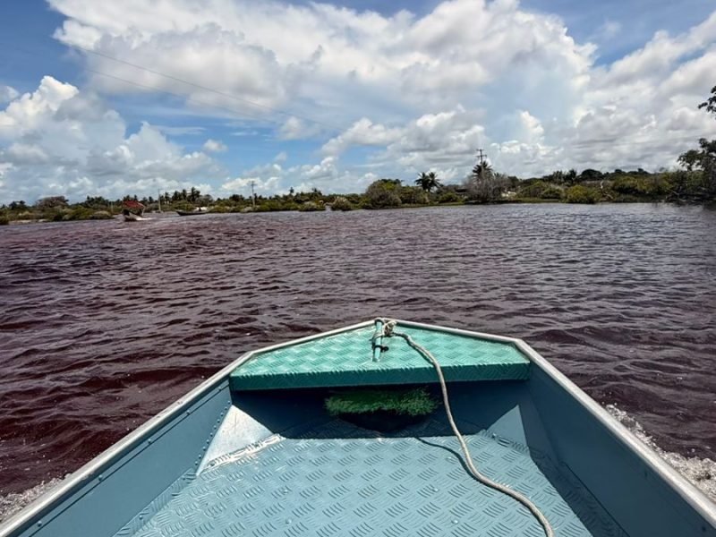 WhatsApp Image 2026-04-13 at 15.04.08 (1)