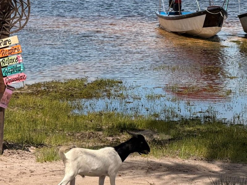 WhatsApp Image 2026-04-13 at 15.04.08 (2)