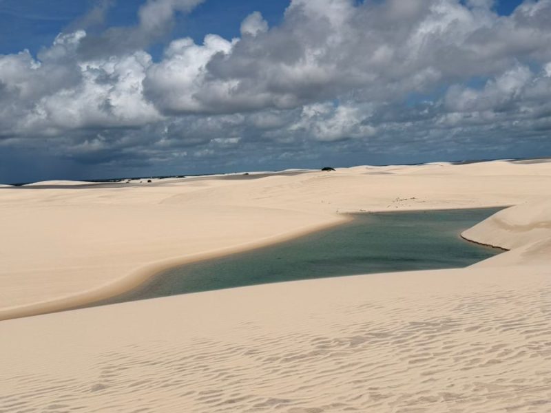 WhatsApp Image 2026-04-13 at 15.04.08